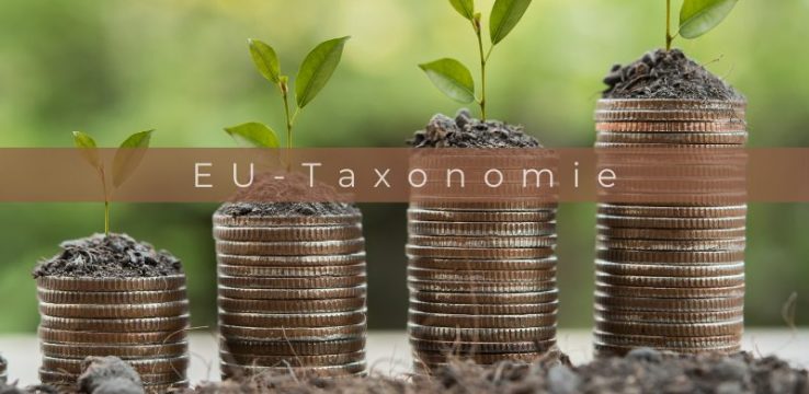 EU-Taxonomy Advisor