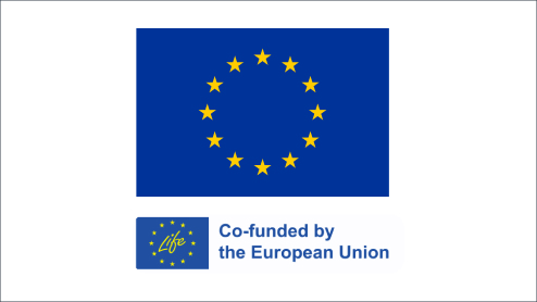 Co-funded by the European Union