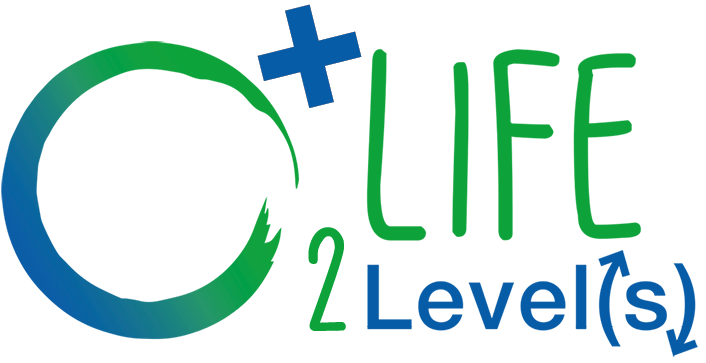 Logo More Life 2 Levels